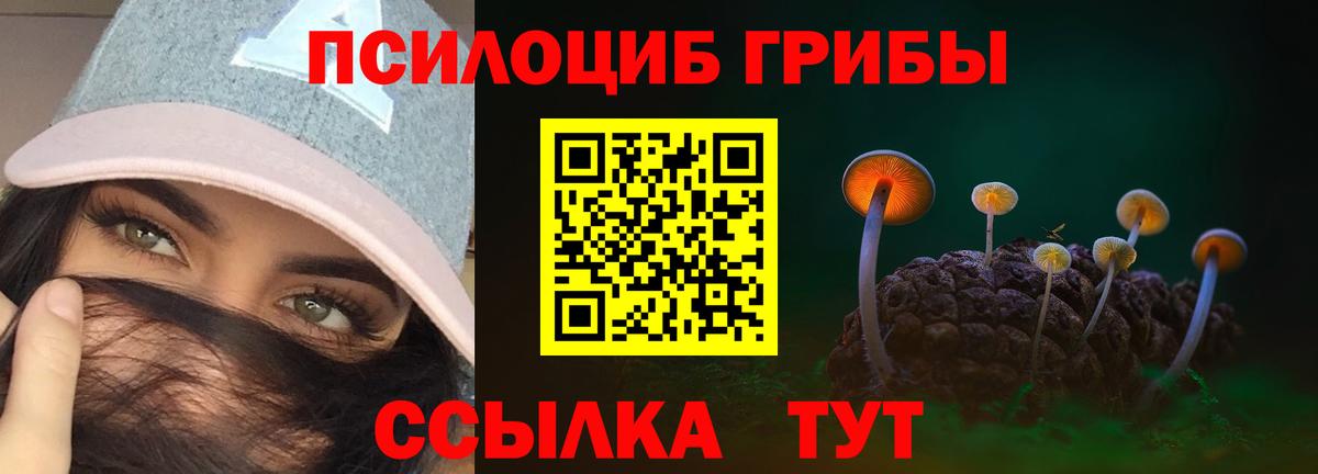 Фурманов  Псилоцибиновые грибы GOLDEN TEACHER  Вход с VPN 